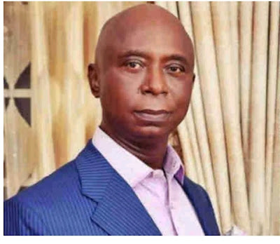 Ned Nwoko Biography