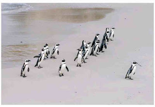 Leadership qualities Top leadership qualities that leaders should emulate