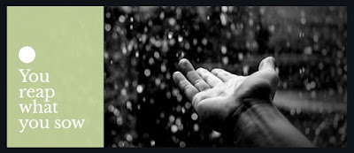 You reap what you sow