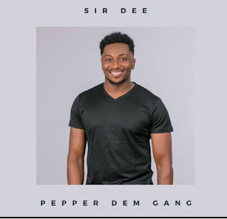 Sir Dee Big brother Naija