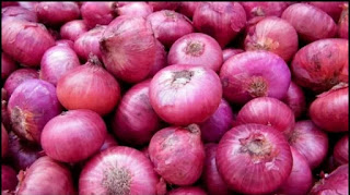 Onions How to use Onions to get rid of cockroaches
