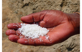 How to get rid of wall Gecko using Salt