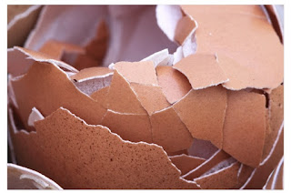 How to get rid of wall Gecko using Egg shell