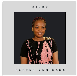 BBNaija: Cindy Okafor Cindy's Biography