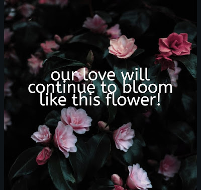 Love quotes for husband from wife Love quotes for husband from wife - Short love quotes for husband from wife