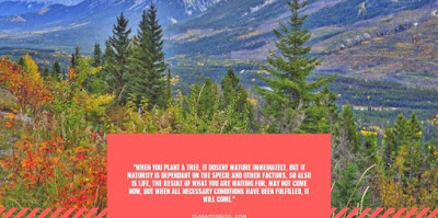 Inspirational quotes Inspirational quotes about life and happiness