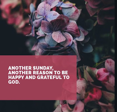 Blessed Sunday Morning Blessed Sunday Morning Quotes with images