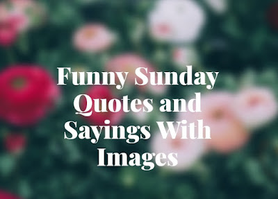 Funny Sunday Quotes Funny Sunday Quotes and Sayings with images