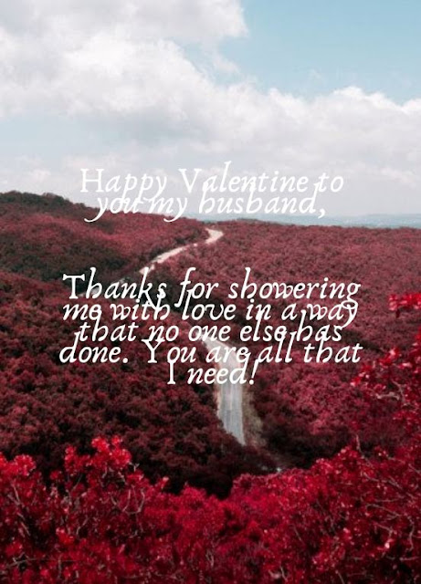 Valentine messages for husband with images