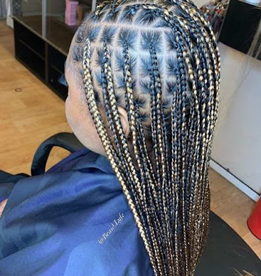 Black and blonde box braids Box braids mixed with black and blonde