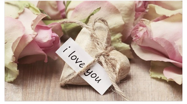 I love you I love you with all my heart