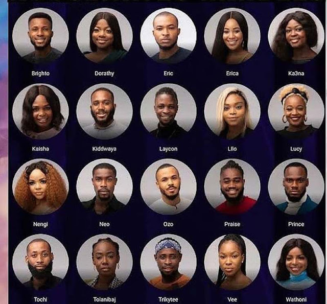 BBNaija 2020 BBNaija 2020 Lockdown housemates
