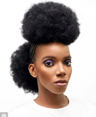 Ponytail hairstyles Ponytail Hairstyles for Black Women