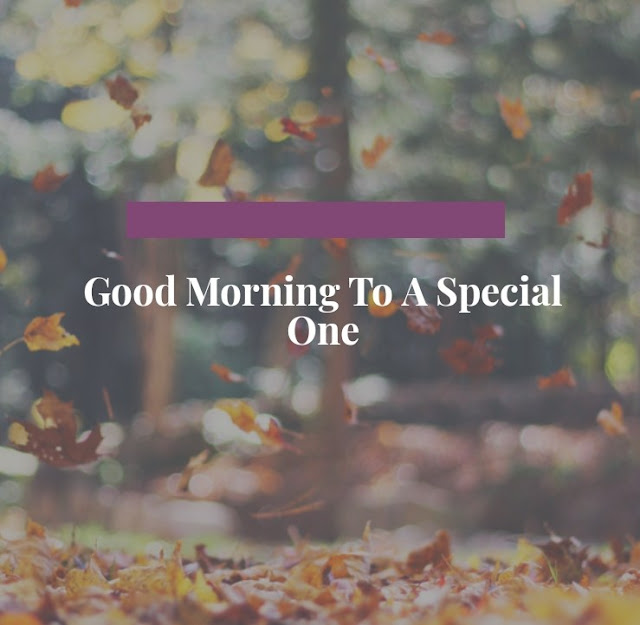 Good Morning Message to a Lover Good morning message for him or her