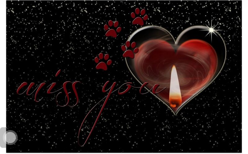 I can't wait to see you I can't wait to see you messages and Quotes for him or her