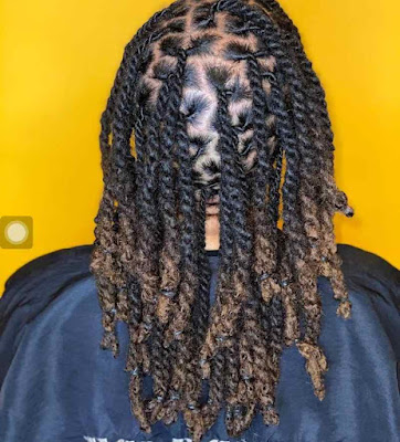 Corkscrew braid Stunning Corkscrew Braids for Ladies