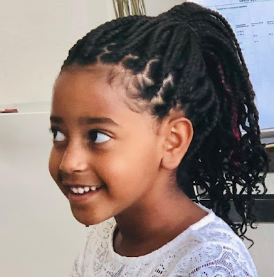 Little Black Girl Braided Hairstyles