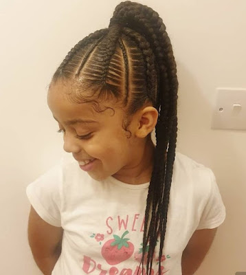 Little Black Girl Braided Hairstyles