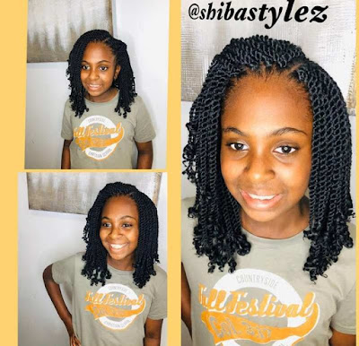 Little Black Girl Braided Hairstyles