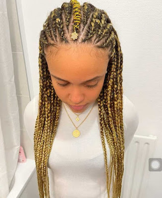 Beautiful Fulani Braids