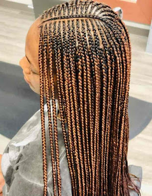 Beautiful Fulani Braids