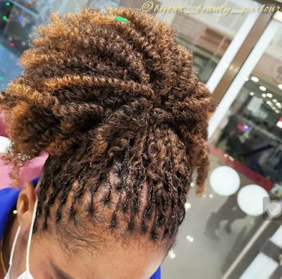 Nubiam twist braid hairstyles Best Nubian twist braid hairstyles for ladies