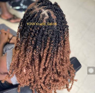 Nubian twist braid hairstyles Best Nubian twist braid hairstyles for ladies