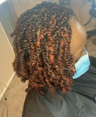 nubian twist braid hairstyles Best Nubian twist braid hairstyles for ladies