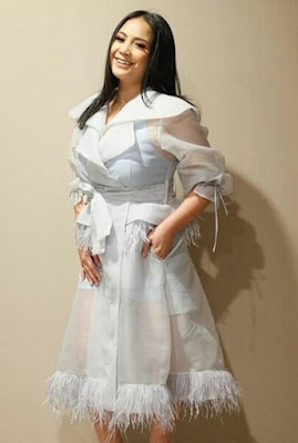 organza styles organza top and gown styles