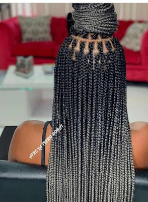 Grey braids styles