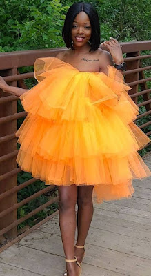 Tulle Dress Styles for Ladies