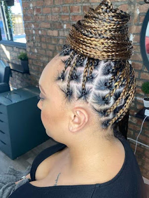 Knotless braids Knotless braids styles