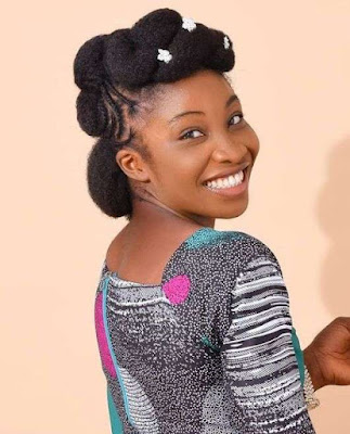 African hair braiding styles African hair braiding styles pictures