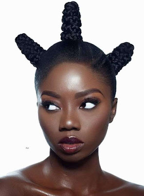 African hair braiding styles African hair braiding styles pictures