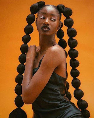 African hair braiding styles African hair braiding styles pictures