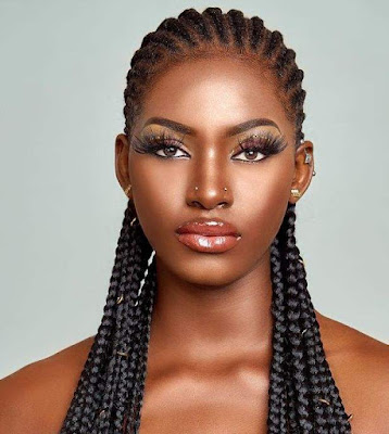 African hair braiding styles African hair braiding styles pictures