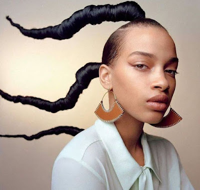 African hair braiding styles African hair braiding styles pictures