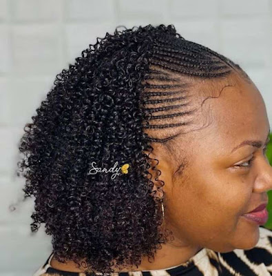African hair braiding styles African hair braiding styles pictures