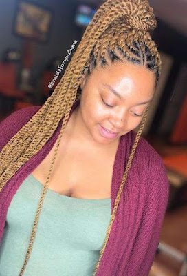 Twist braids Twist braids hairstyles
