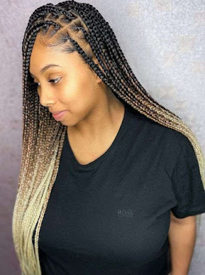 Best romantic dinner hair braids