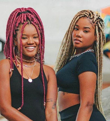 Box Braids Styles Box Braids Styles Pictures