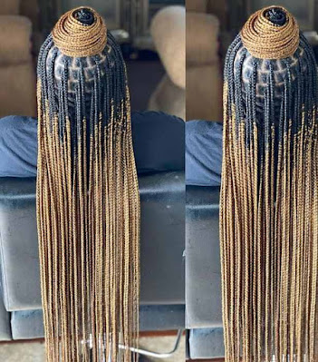 Box Braids Styles Box Braids Styles Pictures