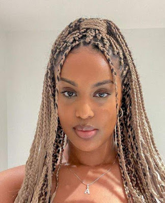 Box Braids Styles Box Braids Styles Pictures
