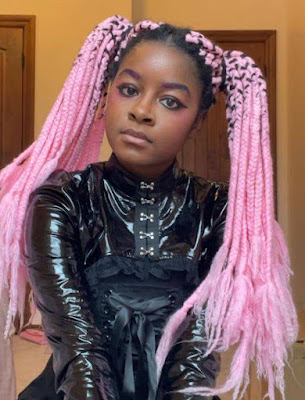 Box Braids Styles Box Braids Styles Pictures