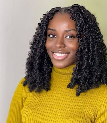 Beautiful Butterfly Locs Hairstyles