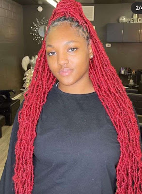 Beautiful Butterfly Locs Hairstyles