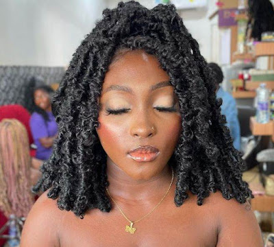 Beautiful Butterfly Locs Hairstyles