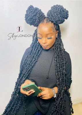 Beautiful Butterfly Locs Hairstyles