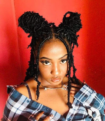 Beautiful Butterfly Locs Hairstyles