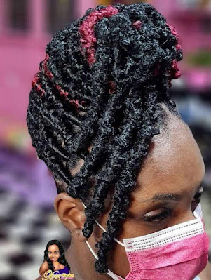 Beautiful Butterfly Locs Hairstyles